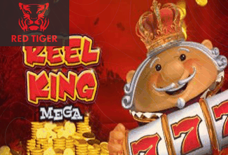 Reel King Mega